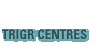 TRIGR Centers